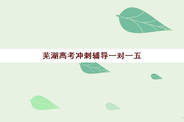 芜湖高考冲刺辅导一对一五大机构用户反馈分析如何查询？2025年真实评价解析与择校指南