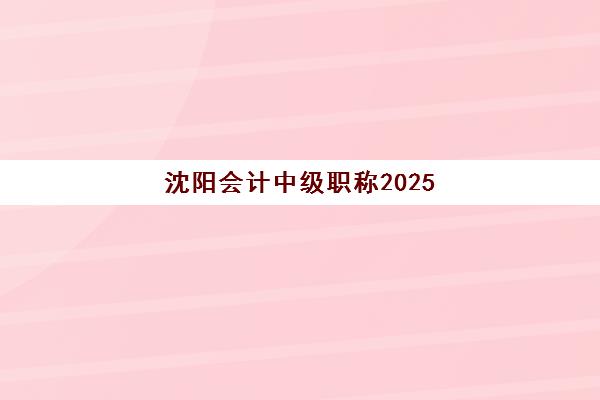 沈阳会计中级职称2025年报名人数统计如何查询？最新数据解读、趋势分析与备考策略全指南