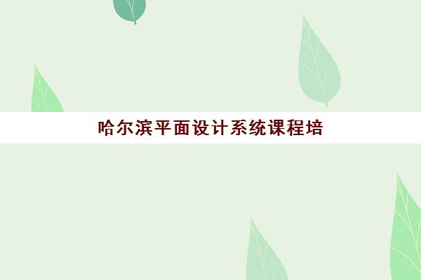 哈尔滨平面设计系统课程培训机构寄宿基地有哪些？2025年最新TOP5实力解析、择校标准与报读全指南