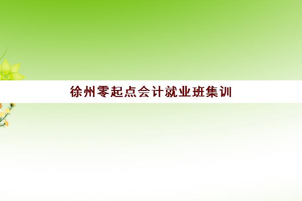 徐州零起点会计就业班集训营哪个比较好一点？2025年最新TOP5机构实力对比、择校标准与就业保障全解析