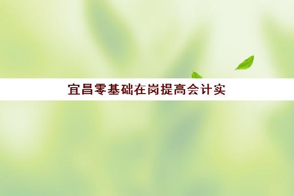 宜昌零基础在岗提高会计实操培训课培训学校排名一览表如何查询？2025年最新权威榜单与科学择校全指南