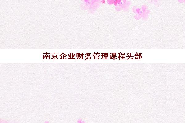 南京企业财务管理课程头部机构年度白皮书如何解读？2025年最新权威排名、课程特色与择校指南全解析