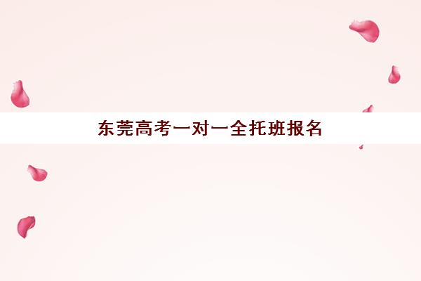 东莞高考一对一全托班报名确认时间是几号啊？2025年具体时间节点与报名全流程指南