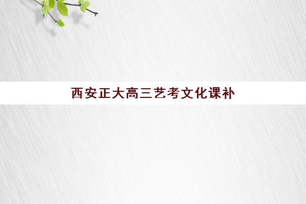 西安正大高三艺考文化课补习学校集训费用多少钱？2025年收费标准全面解析与班型选择性价比深度评估指南