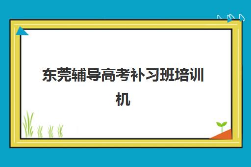 东莞辅导高考补习班培训机构哪家好？2025年最新排名解析与高性价比选择全攻略