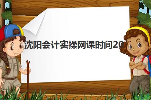 沈阳会计实操网课时间2025考试时间如何安排？最新考试日程、网课学习计划与备考全攻略
