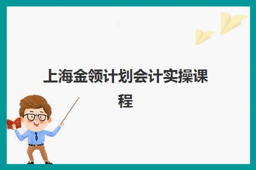 上海金领计划会计实操课程辅导机构哪个比较好？2025年最新权威排名与科学择校全攻略