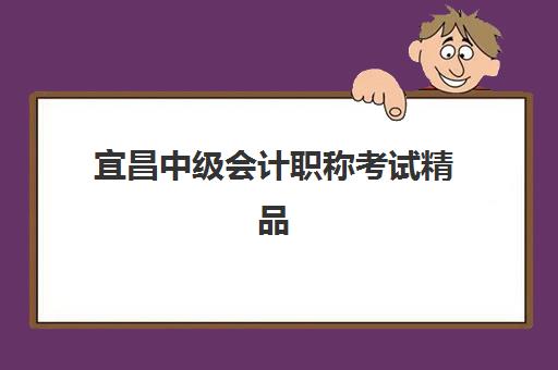 宜昌中级会计职称考试精品课程集训营哪家口碑好？2025年最新权威排名解析、各校特色对比与科学择校全攻略