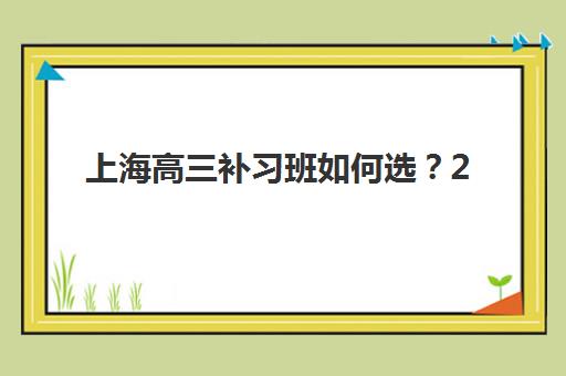 上海高三补习班如何选？2026十大机构特色对比与择校指南