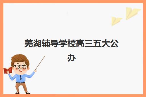 芜湖辅导学校高三五大公办机构运营分析：2025年教学模式、师资配置与市场竞争力深度解析
