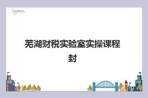 芜湖财税实验室实操课程封闭式集训营有哪些选择？2025年最新课程体系、集训模式与就业前景全解析