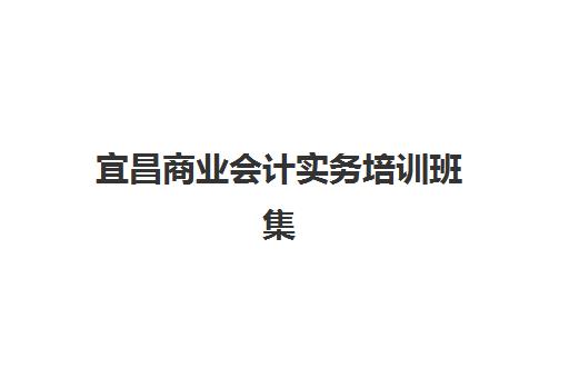 宜昌商业会计实务培训班集中训练营怎么样啊？2025年机构排名、课程特色与择校全攻略