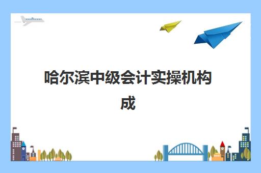 哈尔滨中级会计实操机构成功率最高的是哪个？2025年最新排名、通过率数据与择校全指南